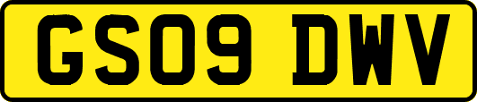 GS09DWV