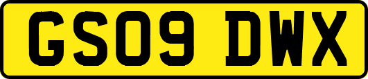 GS09DWX