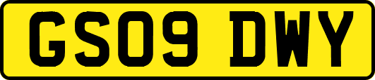GS09DWY