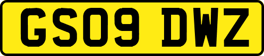 GS09DWZ