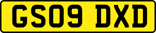 GS09DXD