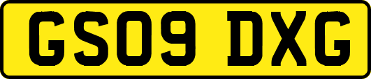 GS09DXG