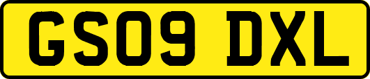 GS09DXL