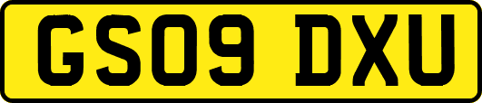 GS09DXU