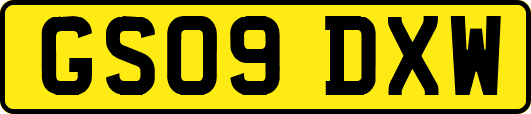 GS09DXW