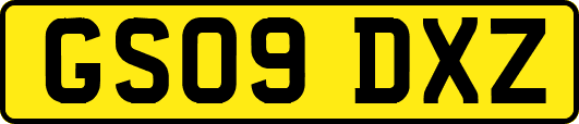 GS09DXZ