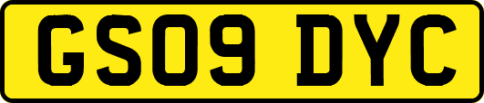 GS09DYC