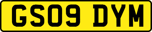 GS09DYM