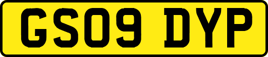 GS09DYP
