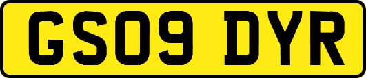 GS09DYR