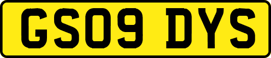 GS09DYS