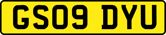 GS09DYU