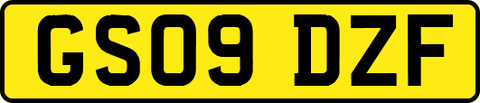 GS09DZF
