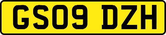 GS09DZH