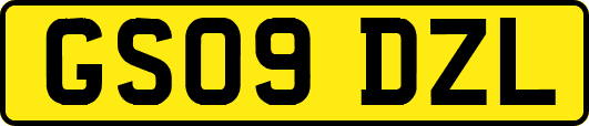 GS09DZL