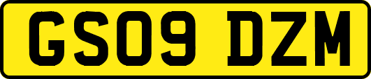 GS09DZM