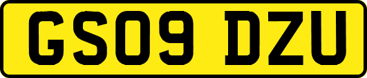 GS09DZU