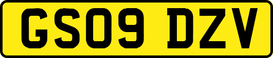 GS09DZV