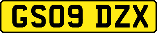 GS09DZX