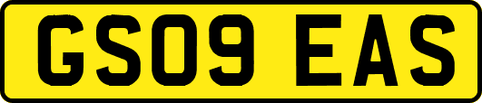 GS09EAS