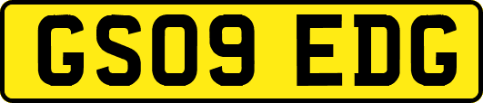 GS09EDG