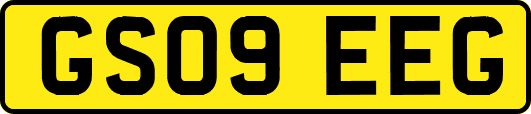 GS09EEG