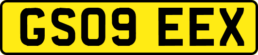 GS09EEX