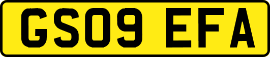 GS09EFA