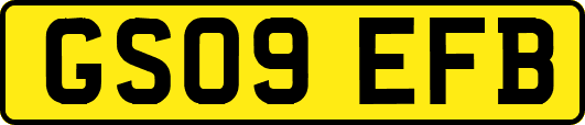 GS09EFB