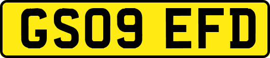 GS09EFD