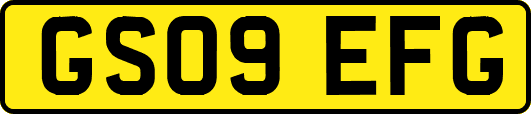 GS09EFG