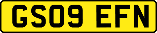 GS09EFN