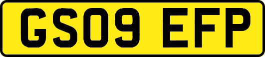 GS09EFP