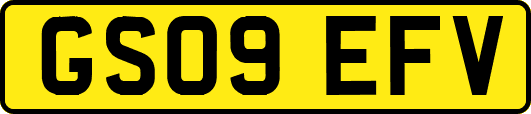 GS09EFV
