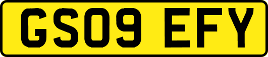 GS09EFY