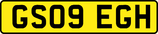 GS09EGH