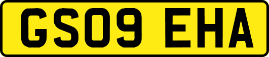 GS09EHA