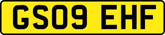 GS09EHF