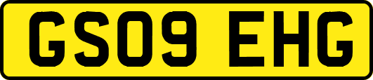 GS09EHG