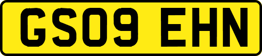 GS09EHN