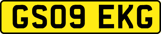 GS09EKG