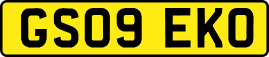 GS09EKO