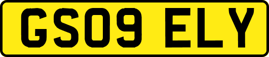 GS09ELY