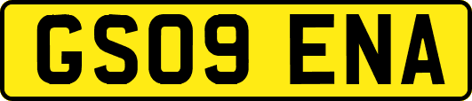 GS09ENA