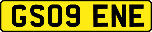 GS09ENE