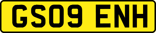GS09ENH