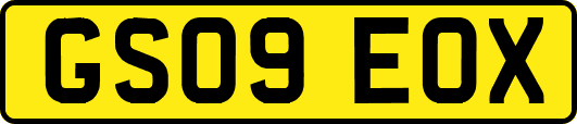 GS09EOX