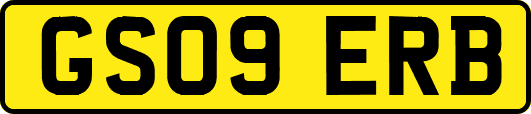GS09ERB