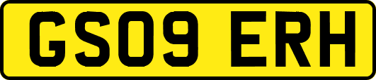GS09ERH