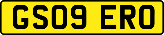 GS09ERO